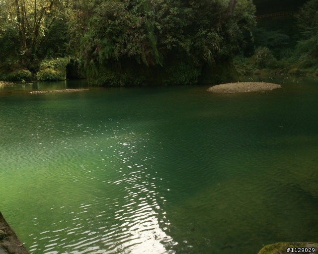 xperia TX 之 溪頭遊(圖多傷眼...)補上720P錄影