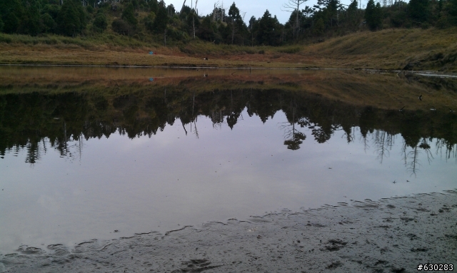 加羅湖 20121028