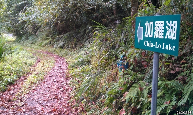 加羅湖 20121028