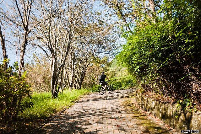 [遊記]武陵農場4+2、雲海漫騎14甲(2012.10.08)
