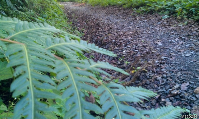 加羅湖 20121021 殘念行