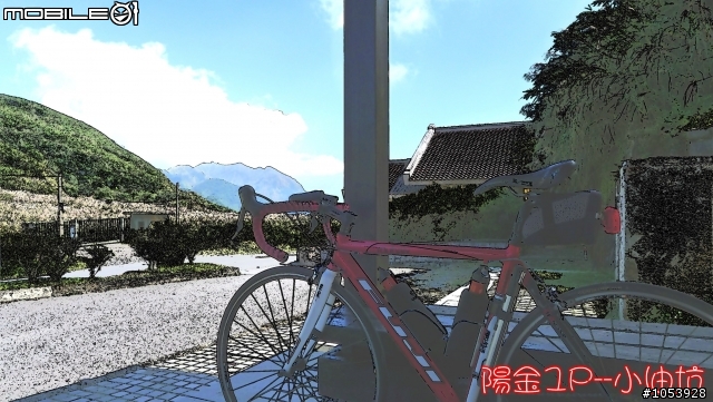陽金2P練習曲