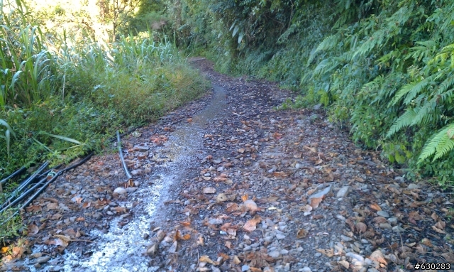 加羅湖 20121021 殘念行