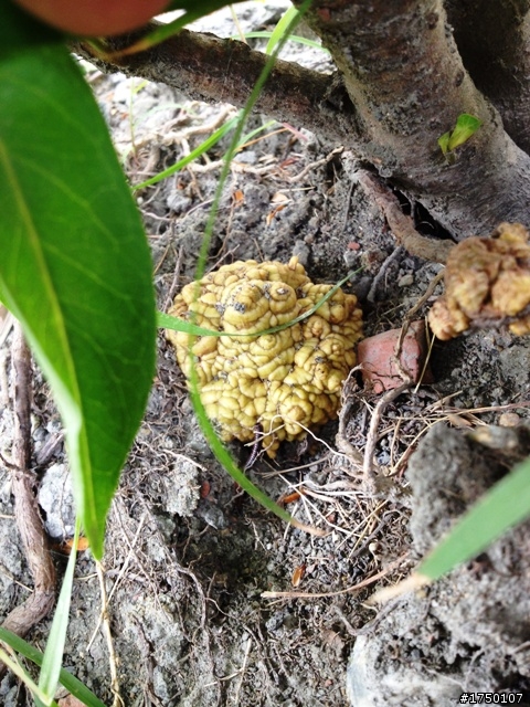 這是瞎毀??