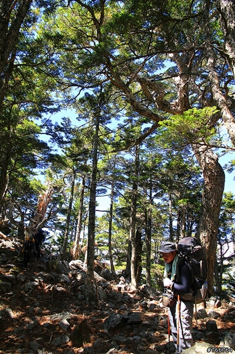 武陵四秀之池有山品田山(圖多)