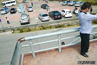 [遊記]武陵農場4+2、雲海漫騎14甲(2012.10.08)