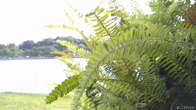 I