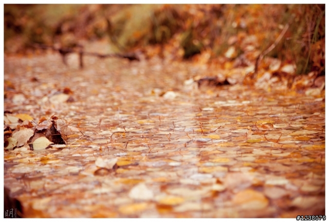 2012.秋.阿拉斯加