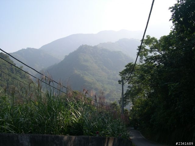 1024苗栗鷂婆山看老鷹〈上〉
