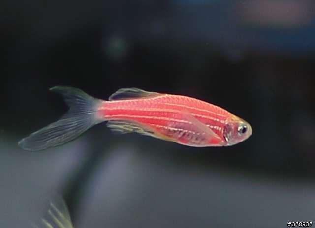 從全片幅走到全片幅之路(2012/11/02 新增flickr 相片)--- 5D3的點點滴滴