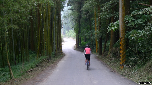 [遊記] 大阿里山百K小環線--梅山36彎/瑞里/奮起湖