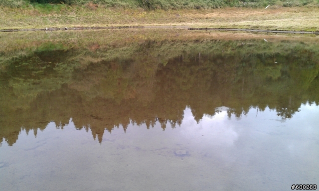 加羅湖 20121028