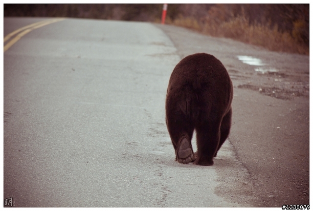 2012.秋.阿拉斯加