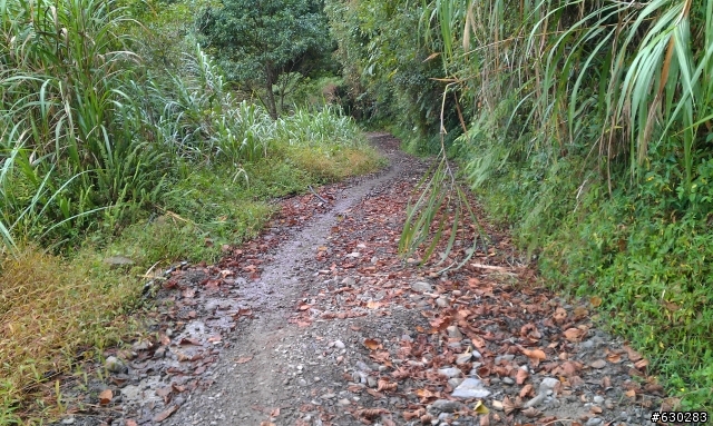 加羅湖 20121028