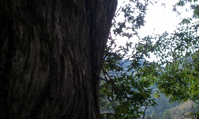 加羅湖 20121028