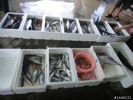 Ford Fiesta 免費開回家~24小時Fun一夏