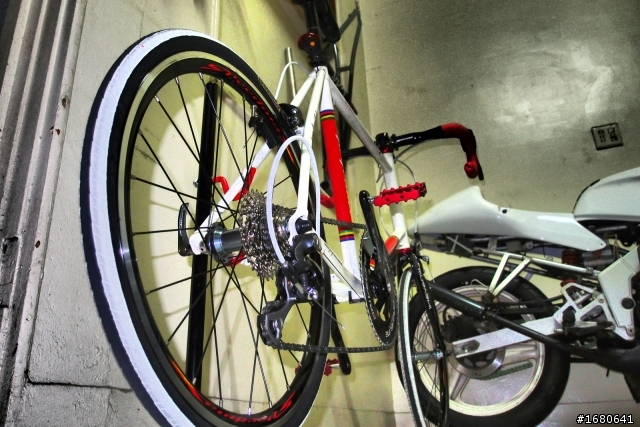 PERFORMER Eclipse 小徑終於成車囉!!!!