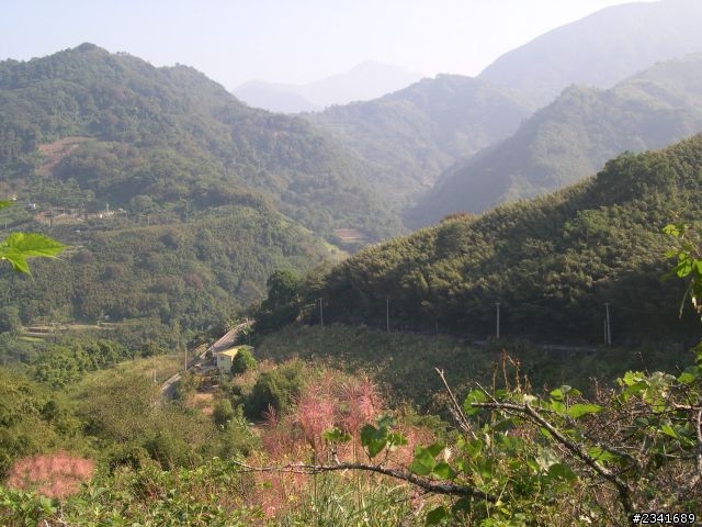 1024苗栗鷂婆山看老鷹〈上〉