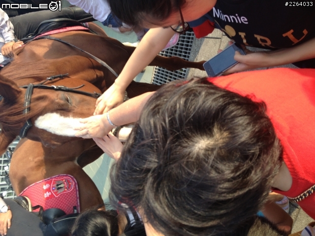 原來淡水有馬警（多圖）