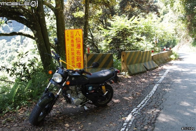 觀霧