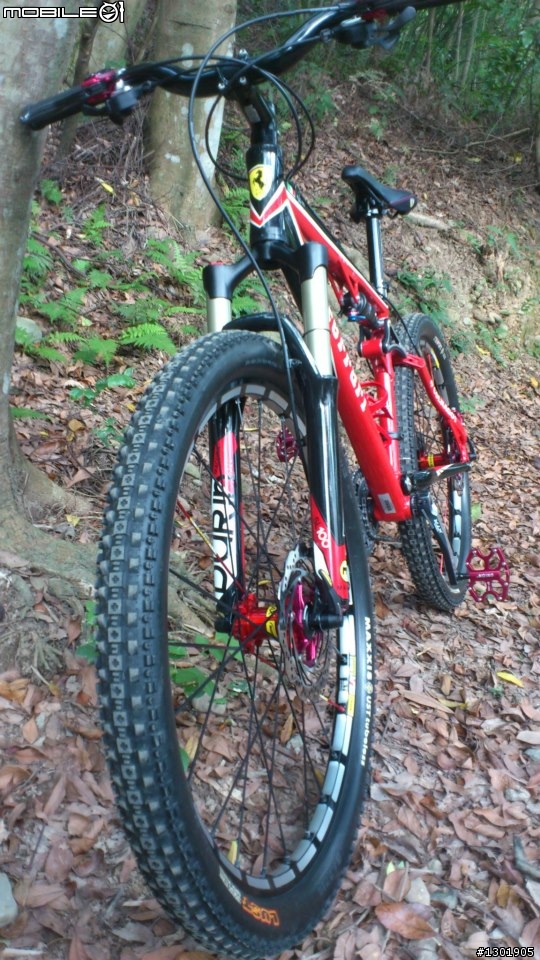 虎頭山林道OFF ROAD