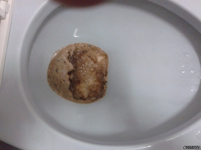 [分享]馬桶尿垢簡易清潔