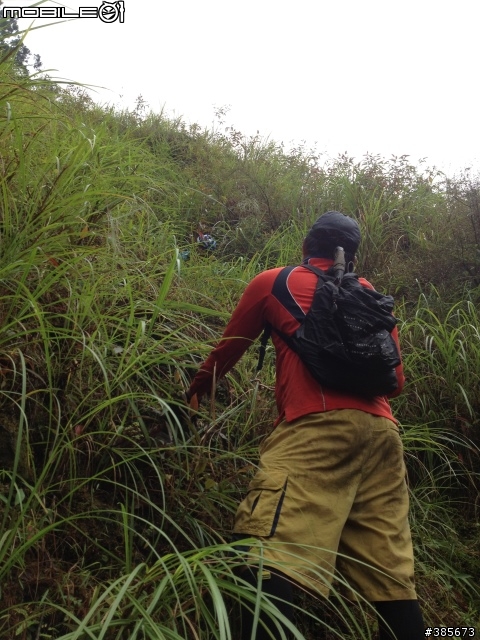 ㊣台9甲之西坑越嶺﹢㊣神風特攻隊の路﹙2013/06/01、2013/06/29全破結案﹚