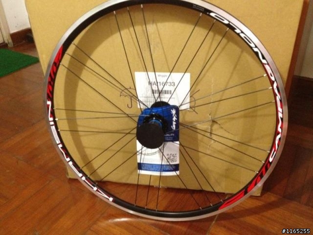 Campy Khamsin 輪組開箱文