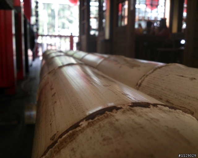 xperia TX 之 溪頭遊(圖多傷眼...)補上720P錄影