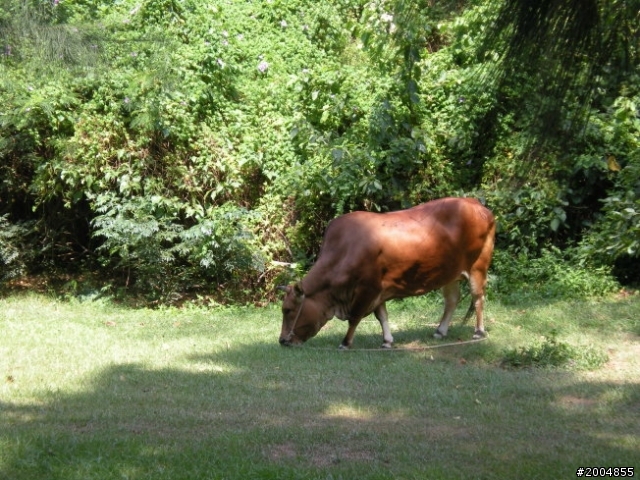 2012 秋節環金門