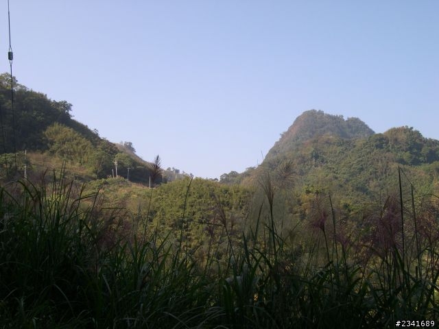 1024苗栗鷂婆山看老鷹〈上〉