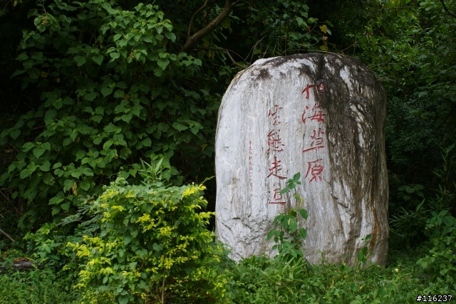 雙十環島~一個人5天4夜的旅行[圖多文長]