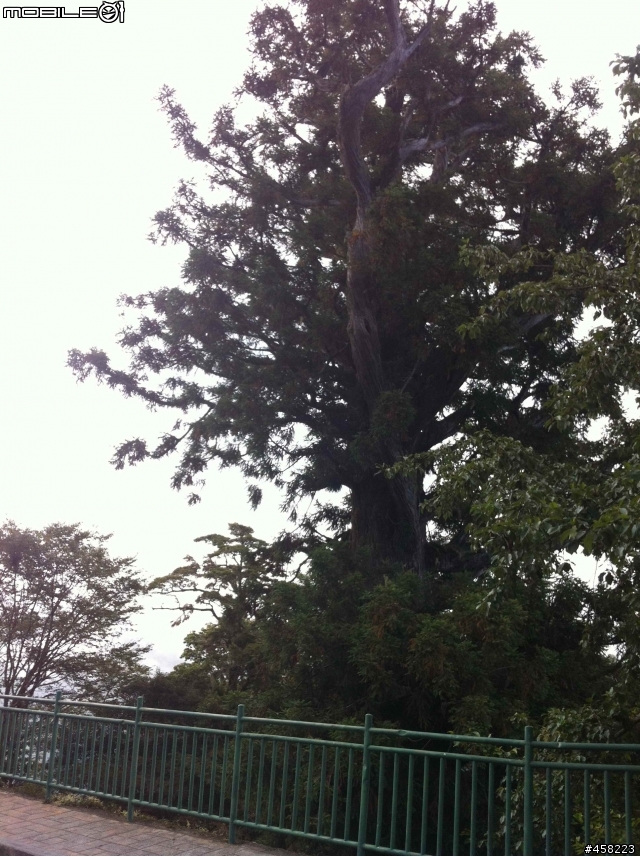1011~1014 一個人1900 KM 自我放逐的S環島