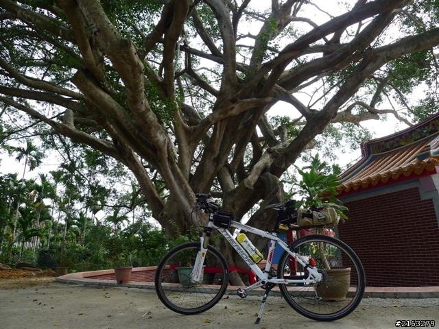 [車巡報告]環化賽前之半線采風