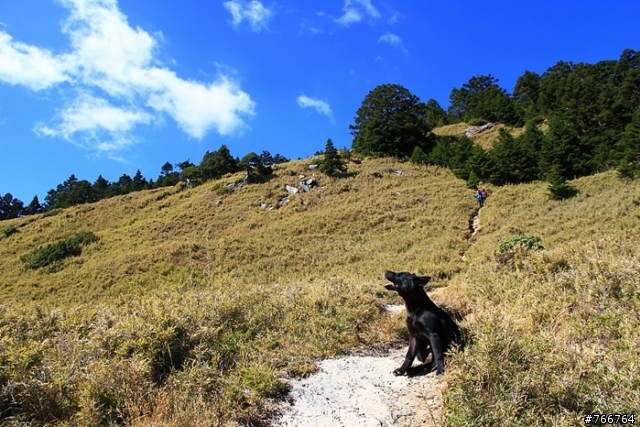 武陵四秀之池有山品田山(圖多)