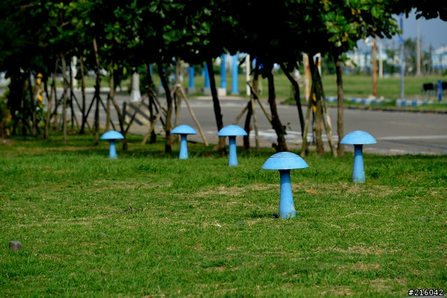 【蓋大樓好嗎？】方便實用的全幅旅遊鏡AF-S 28-300mm F3.5-5.6G ED VR