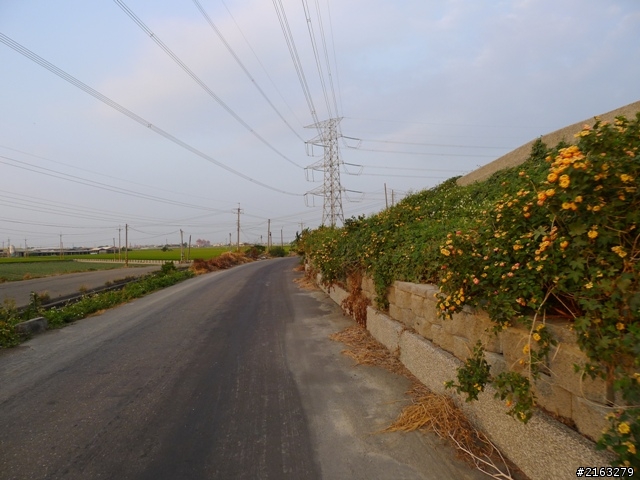 [車巡報告]環化賽前之半線采風