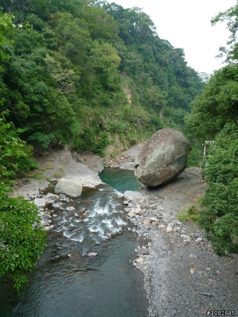 Fiesta 4D一日情人