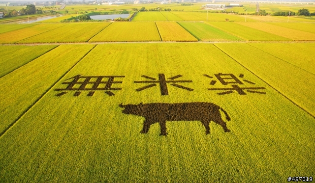小時光 . 府城