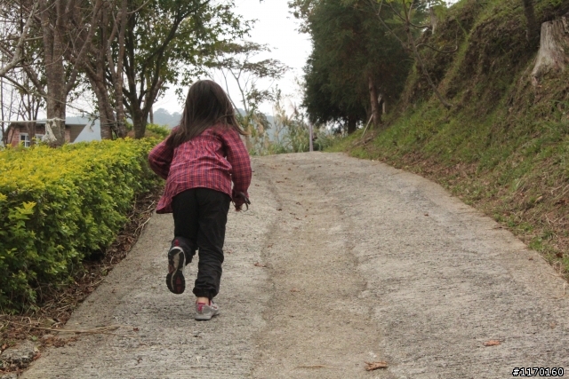 尖石山頂農莊營地分享