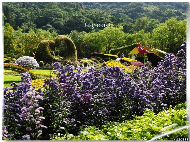 2012士林官邸菊花展蓋大樓