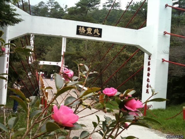 深秋露營地點請益(11/2更新為4天3夜'武陵+福壽山' 圖多)