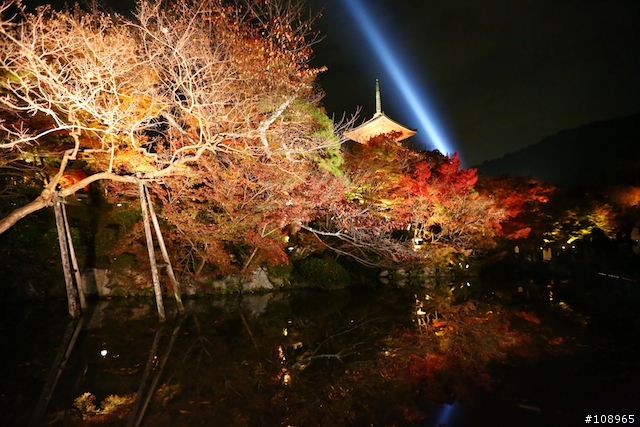 分享：關西～奈良，京都，大阪賞楓自由行（圖多）
