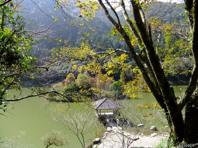 2012明池楓情