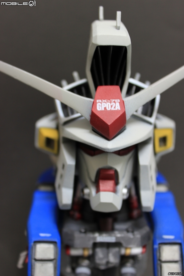 所羅門啊，我回來了！