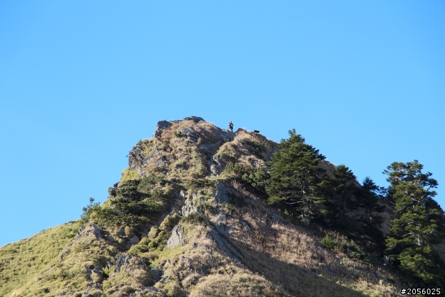 合歡山主峰/武嶺登山一日遊