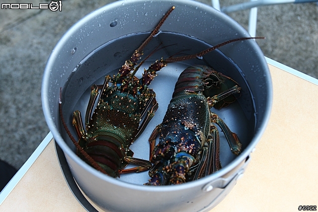 小惡魔華中河濱公園烤肉趴 海陸大餐好過癮