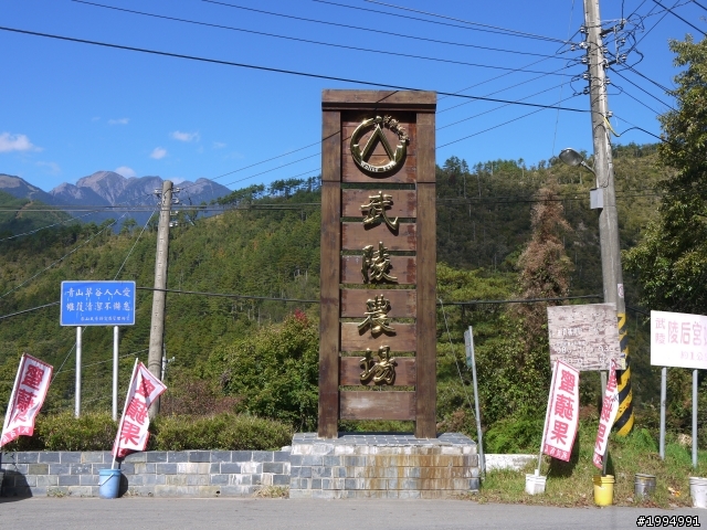 [11/3~11/4] 1D(XX)2D武嶺合歡山主峰攻頂   (圖多話也多 慎入-更新完畢)