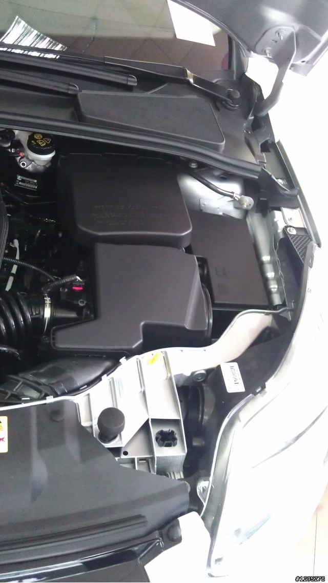 Focus III 2次賞車分享