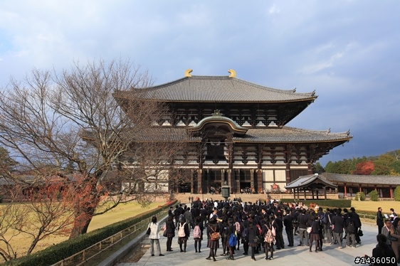 京阪神奈旅拍分享